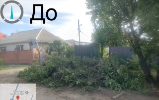 Массовая уборка после непогоды: контейнерные площадки чистят и вывозят ветки