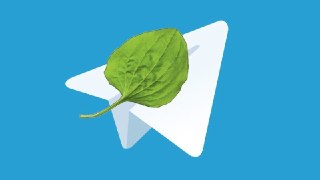 Госдума: Telegram Premium не связано с финансированием терроризма