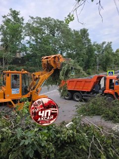 В Аксай вывезли 850 тонн поваленных деревьев после непогоды