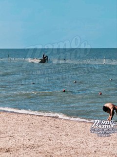 Как база отдыха на Должанке спасла туристов от медуз в Азовском море