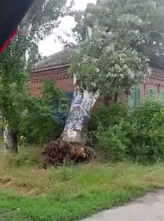 В Батайске продолжается ликвидация последствий урагана: помощь пожилым людям