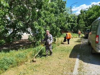 В Волгодонске после публикации убрали заросли амброзии и сорняков