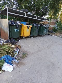 Ситуация с мусором на ул. Петрова, 33 требует внимания