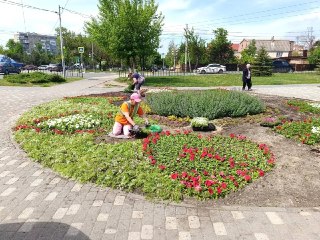 Аксаю придадут яркие оттенки: новые цветочные композиции
