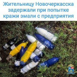 Женщина задержана за попытку кражи лакокрасочных материалов