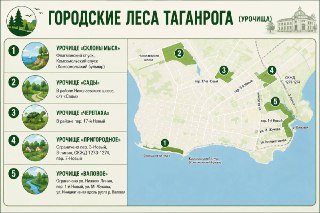 Запрет на посещение лесов в Таганроге: новые меры безопасности