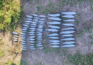Два браконьера на Цимлянском водохранилище причинили ущерб на свыше 113 тысяч рублей