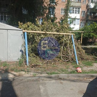 После урагана жители просят убрать упавшие деревья и оценить аварийные насаждения